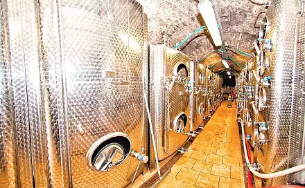 Prodej komerčního objektu (jiného typu) 200 m², Strachotín, okres Břeclav