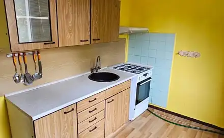 Prodej bytu 2+1 55 m², V Aleji, Karviná - Ráj