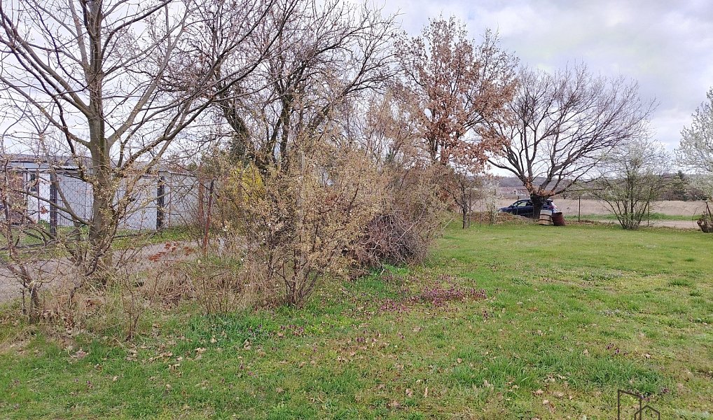 Prodej zahrady 526 m², Znojmo – náhled fotky 3