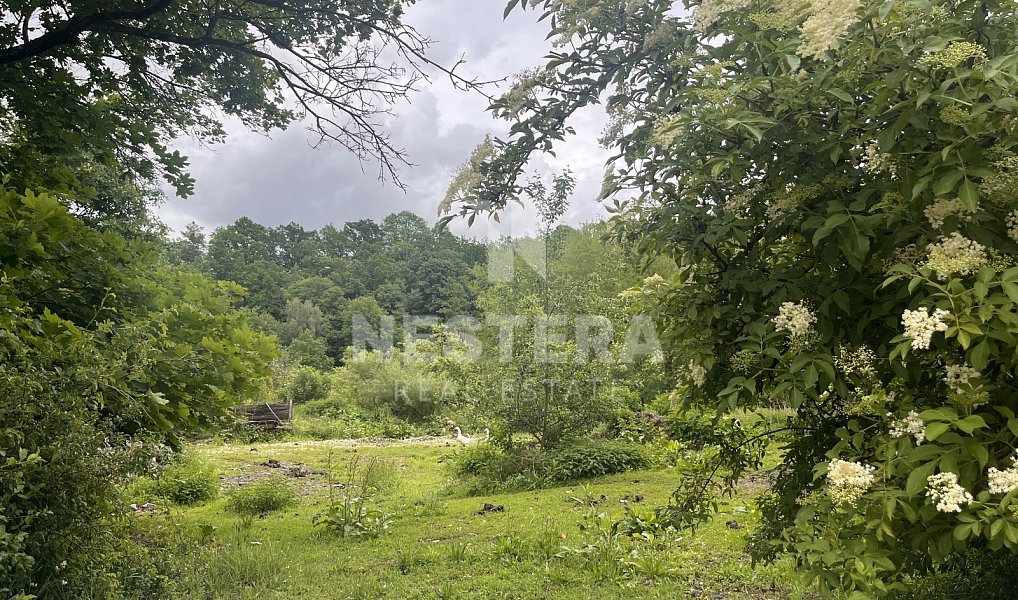 Prodej stavebního pozemku 112 997 m², Popovice – náhled fotky 5