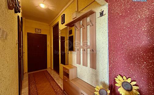 Prodej bytu 3+1 65 m², Čajkovského, Karviná - Mizerov