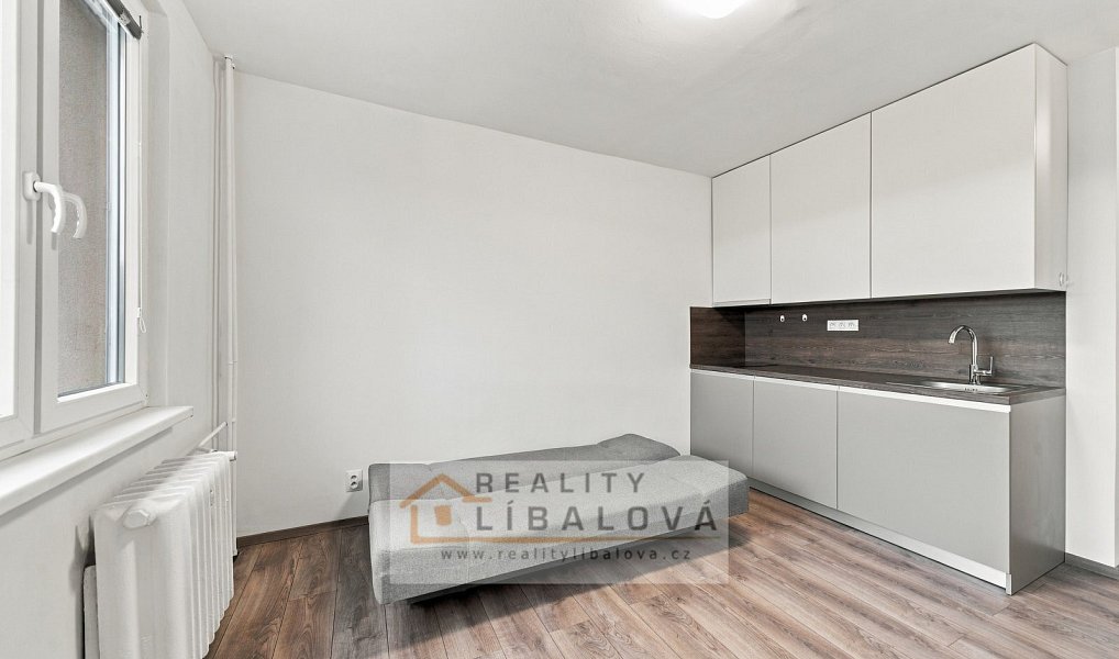 Pronájem bytu 1+kk 20 m², Ústí nad Labem – náhled fotky 4