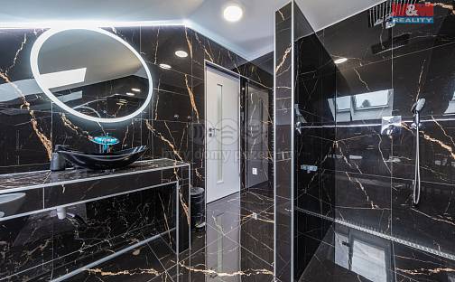 Prodej domu 340 m² s pozemkem 1 130 m², Do Žlábek, Kunice, okres Praha-východ