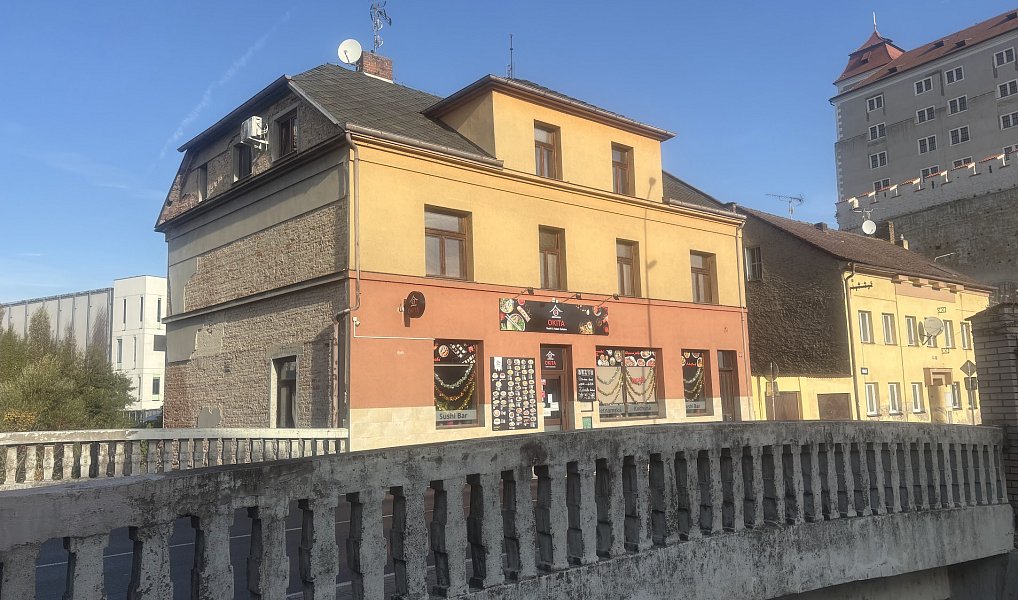 Prodej domu 450 m² s pozemkem 548 m², Mladá Boleslav – náhled fotky 2