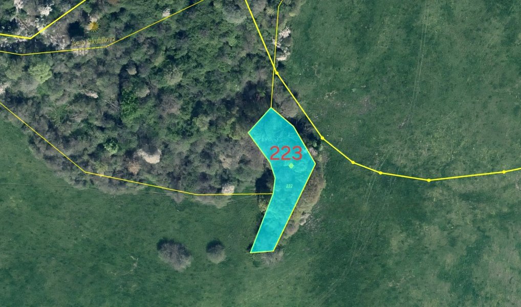 Prodej pozemku 26 240 m², Kvítkov – náhled fotky 4