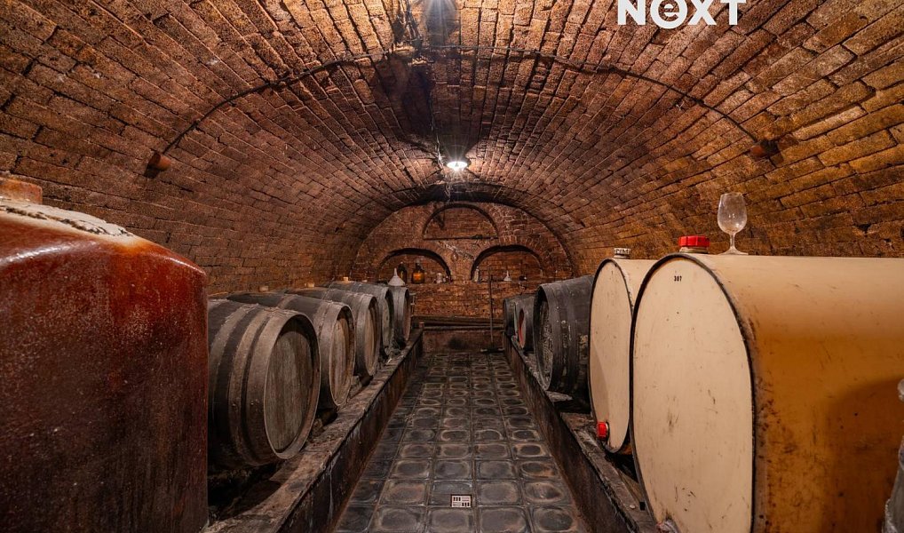 Prodej ubytovacího objektu 450 m², Mutěnice – náhled fotky 8