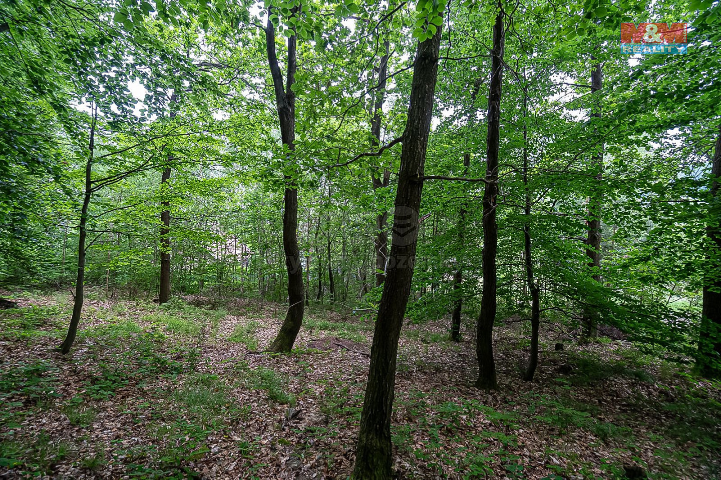 Prodej stavebního pozemku 439 m² – fotografie 4