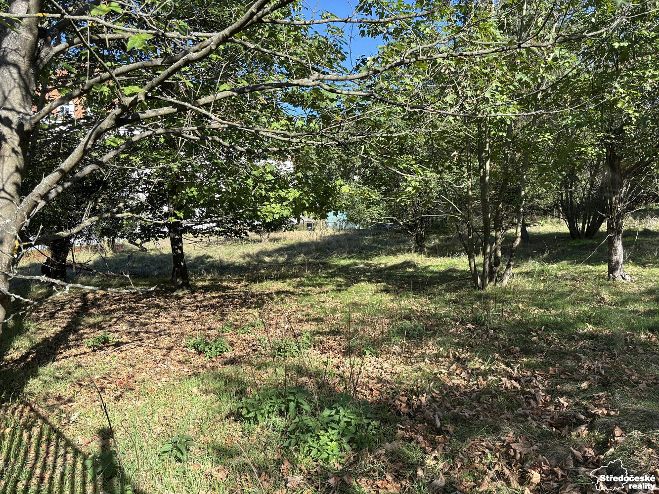 Prodej stavebního pozemku 3 530 m² – fotografie 3