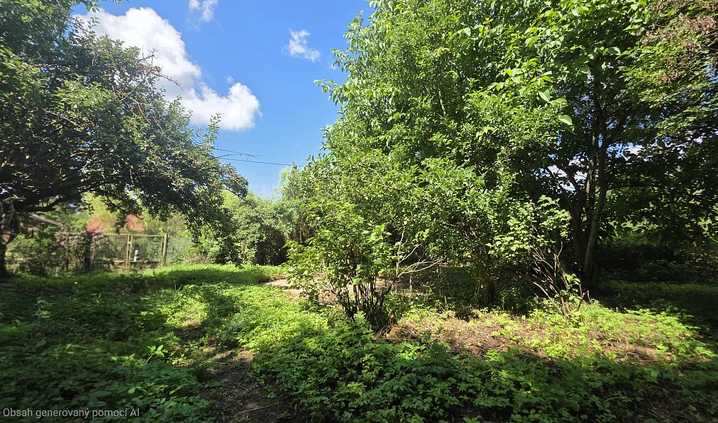 Prodej chaty/chalupy 40 m² s pozemkem 1 119 m², Roblín – náhled fotky 10