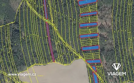 Prodej lesa 2 599 m², Koloveč, okres Domažlice