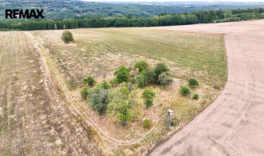 Prodej stavebního pozemku 3 633 m², Ošelín – náhled fotky 14