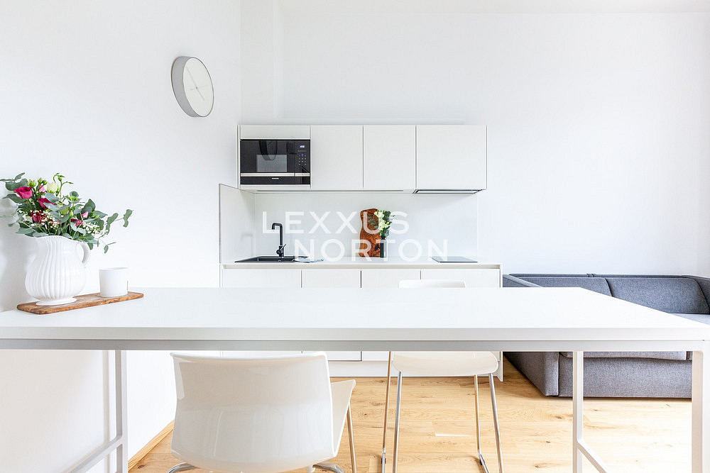 Pronájem bytu 1+kk 31 m² – pohled 2