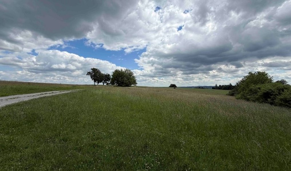 Prodej chaty/chalupy 50 m², Hybrálec – náhled fotky 15