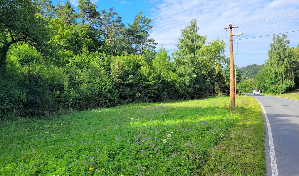 Prodej louky 3 885 m², Sýkořice – náhled fotky 2