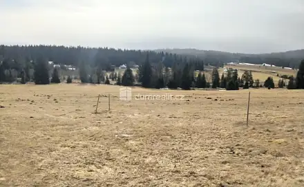 Prodej louky 1 321 m², Horská Kvilda, okres Klatovy
