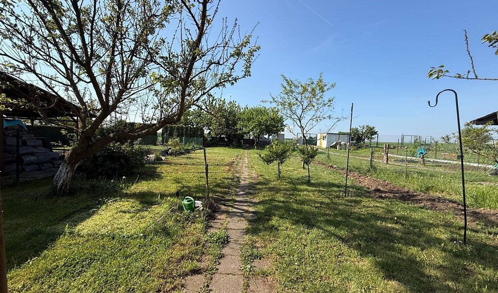 Prodej zahrady 428 m², Spořice – náhled fotky 8