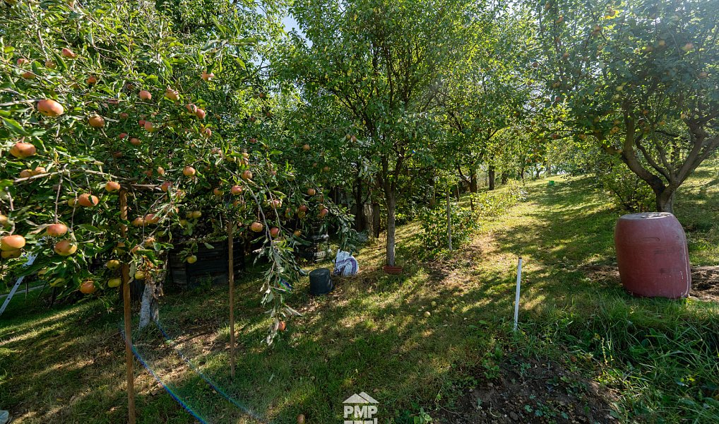 Prodej domu 84 m² s pozemkem 1 851 m², Skalice nad Svitavou – náhled fotky 20