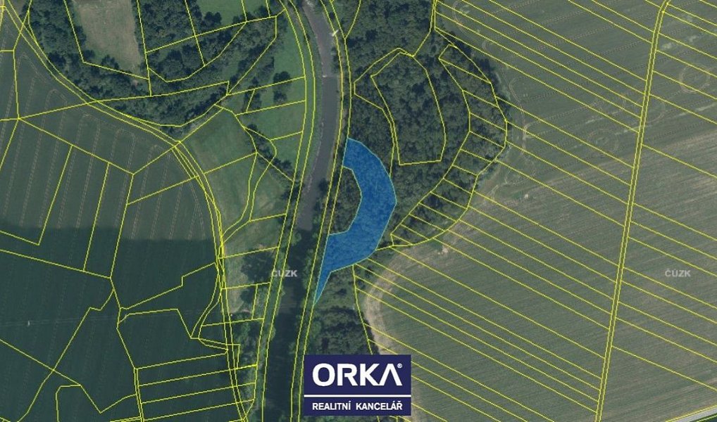 Prodej lesa 82 866 m², Tovačov – náhled fotky 4