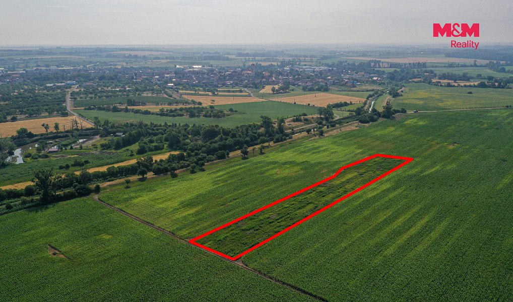 Prodej pole 9 227 m², Podivín – náhled fotky 10