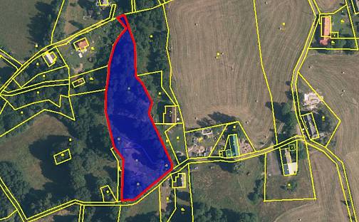 Prodej pozemku 6 645 m², Bílý Potok, okres Liberec