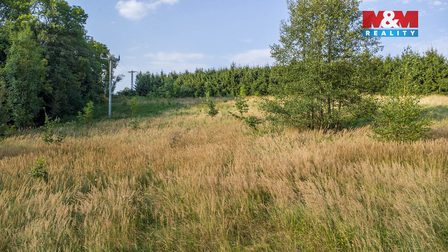 Prodej louky 5 500 m² — photo 5