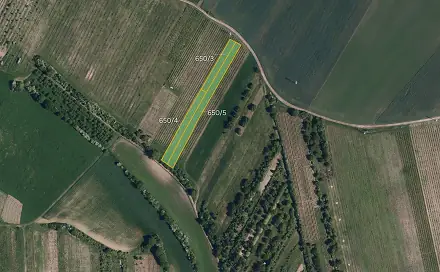Prodej pole 4 183 m², Brumovice, okres Břeclav