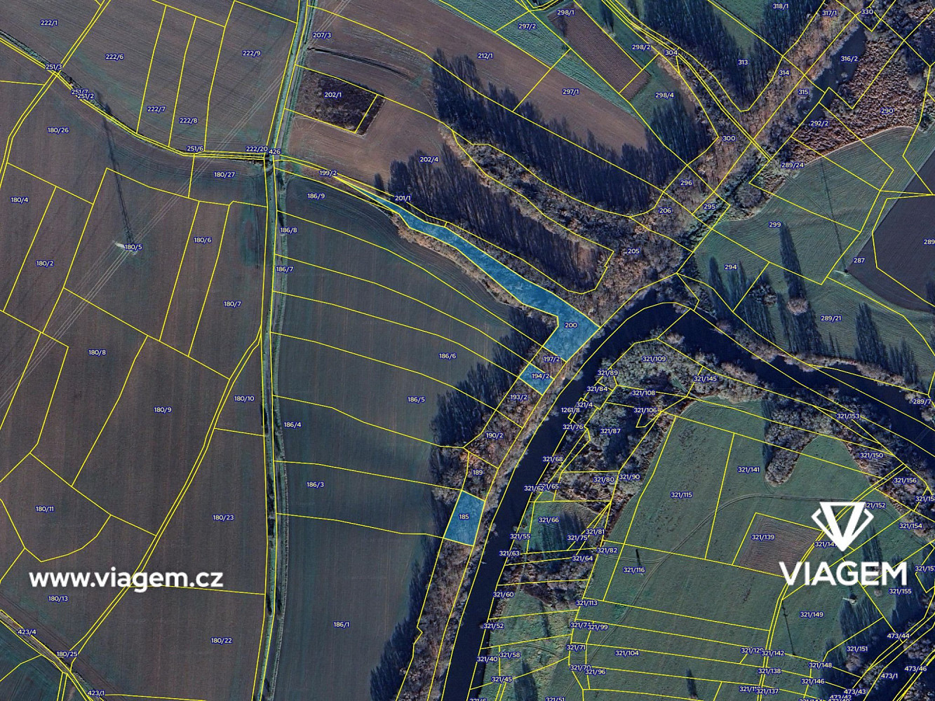 Prodej lesa 2 137 m² – fotografie 4