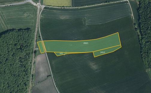 Prodej pole 45 362 m², Očelice, okres Rychnov nad Kněžnou