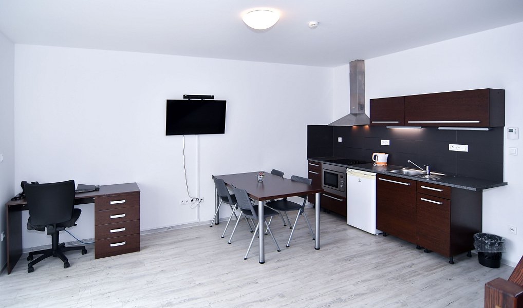 Pronájem bytu 3+kk 141 m², Brno – náhled fotky 2