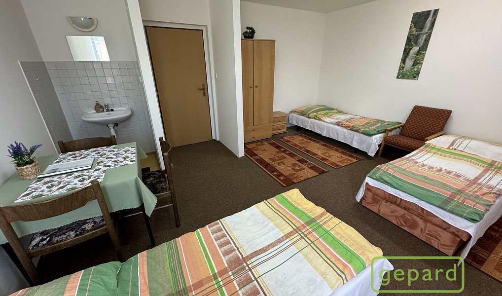 Prodej ubytovacího objektu 800 m², Český Krumlov – náhled fotky 26