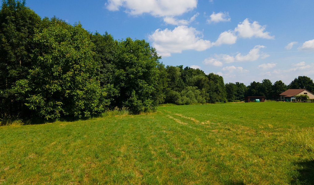Prodej stavebního pozemku 2 990 m², Rychvald – náhled fotky 6