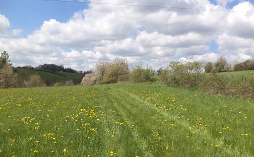 Prodej pozemku 5 357 m², Vítkov, okres Opava