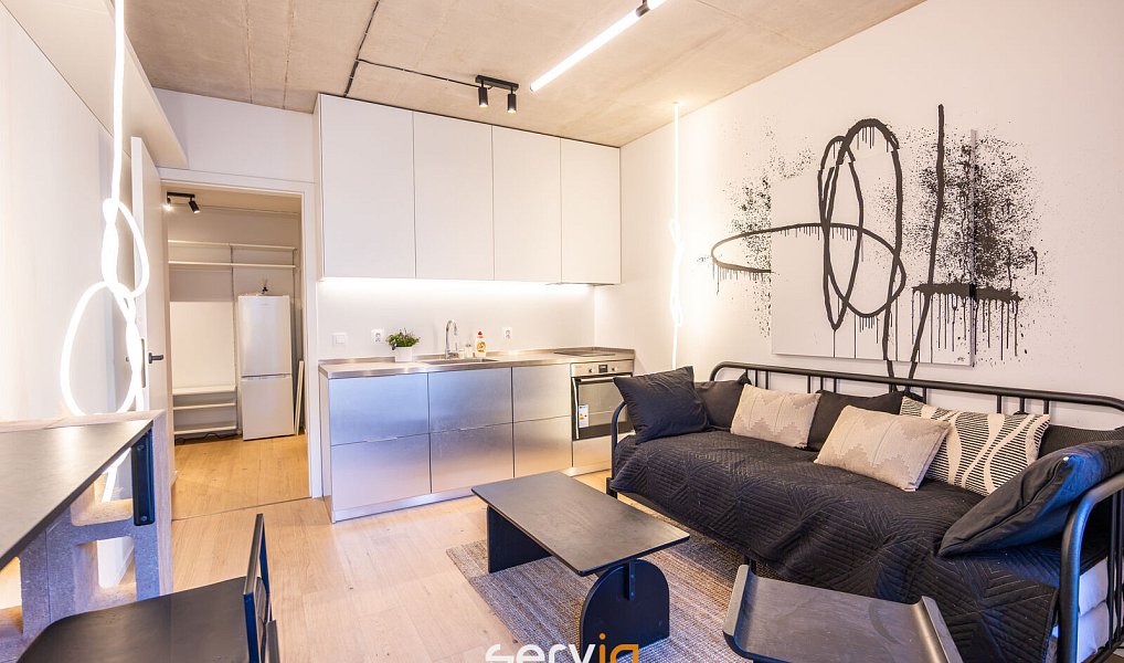 Pronájem bytu 1+kk 26 m², Brno – náhled fotky 2