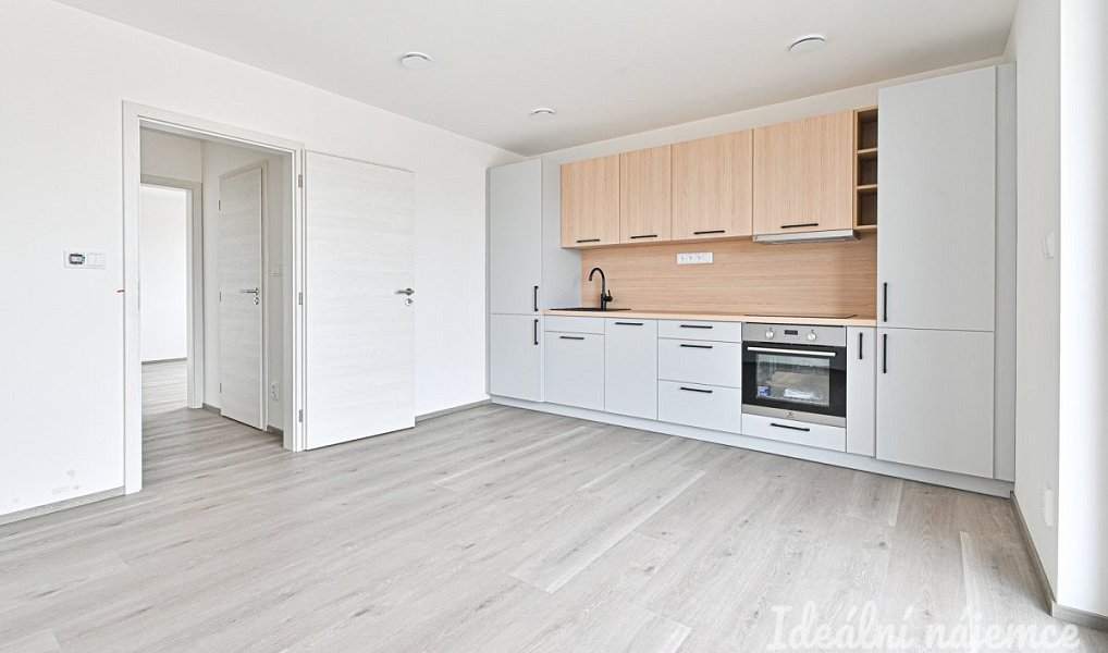 Pronájem bytu 2+kk 39 m², Dobřany – náhled fotky 2