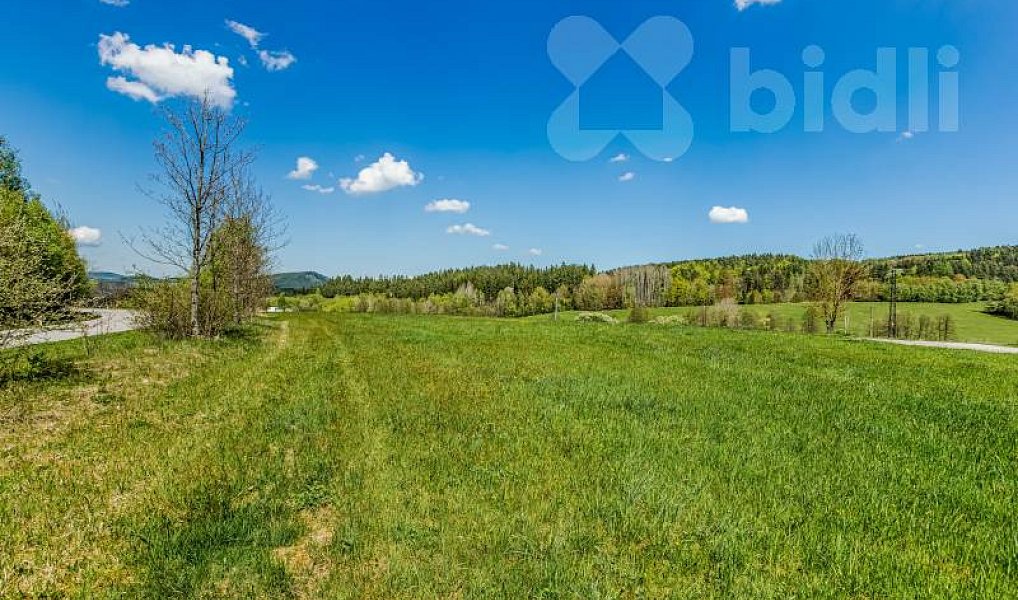Prodej komerčního pozemku 30 000 m², Vyšší Brod – náhled fotky 7
