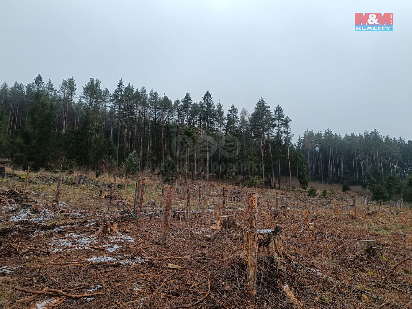 Prodej lesa 37 567 m²