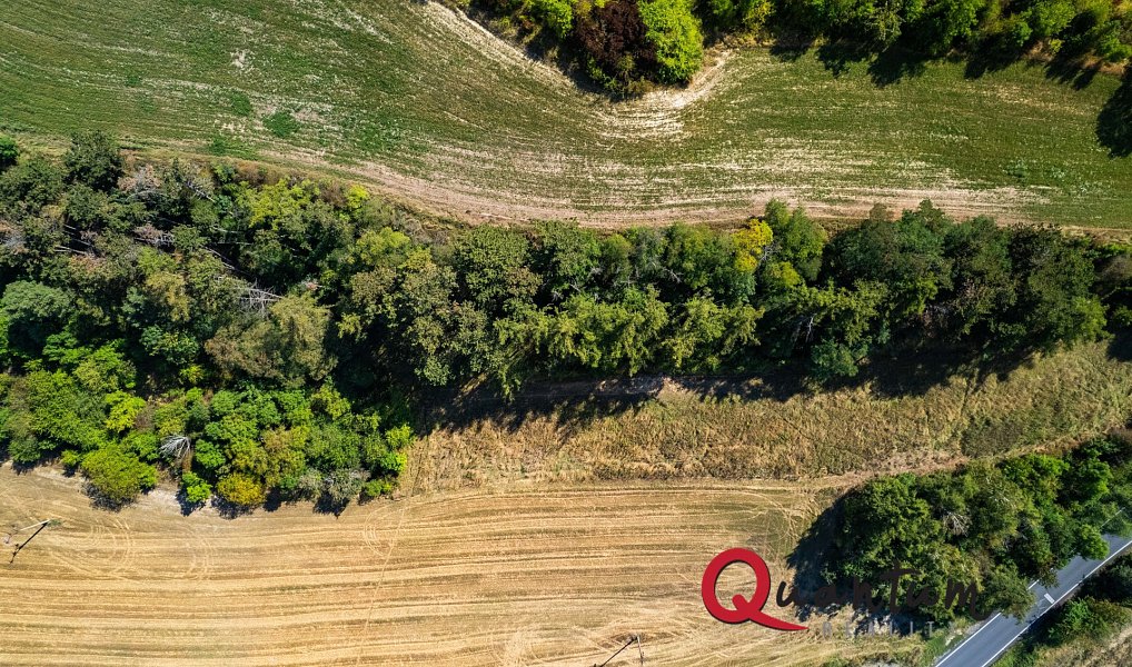 Prodej stavebního pozemku 16 339 m², Brandýsek – náhled fotky 20
