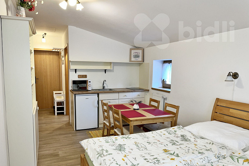 Pronájem bytu 1+kk 25 m²