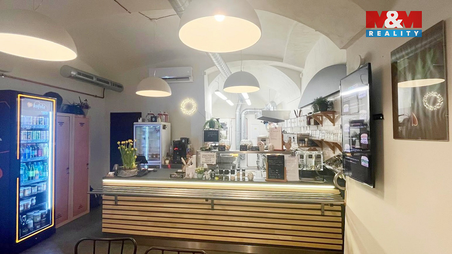 Pronájem obchodních prostor 45 m² – pohled 5