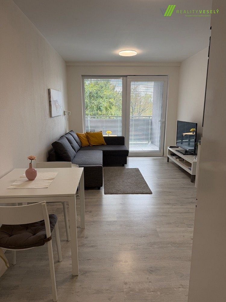 Pronájem bytu 1+kk 25 m² – fotografie 4