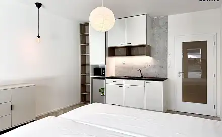Pronájem bytu 1+kk 38 m²