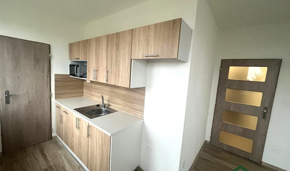Pronájem bytu 1+1 35 m², Pohledy – náhled fotky 2