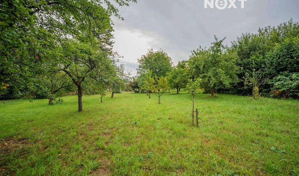 Prodej stavebního pozemku 3 456 m², Loštice – náhled fotky 13