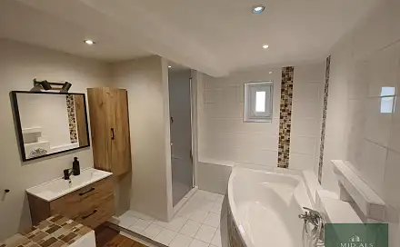 Prodej domu 200 m² s pozemkem 1 301 m², Bor - Ostrov, okres Tachov