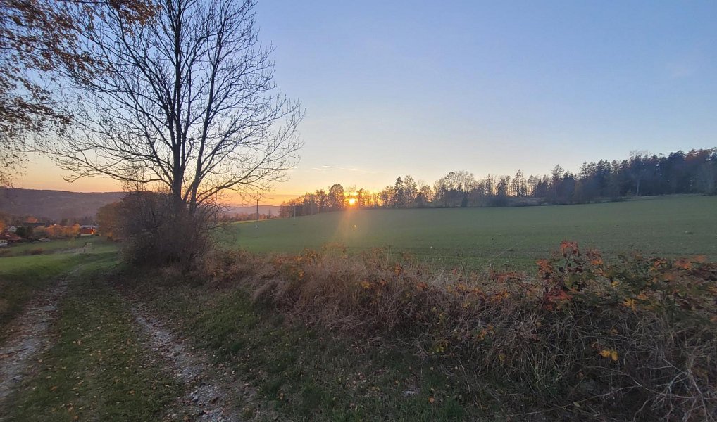 Prodej louky 6 834 m², Železný Brod – náhled fotky 18