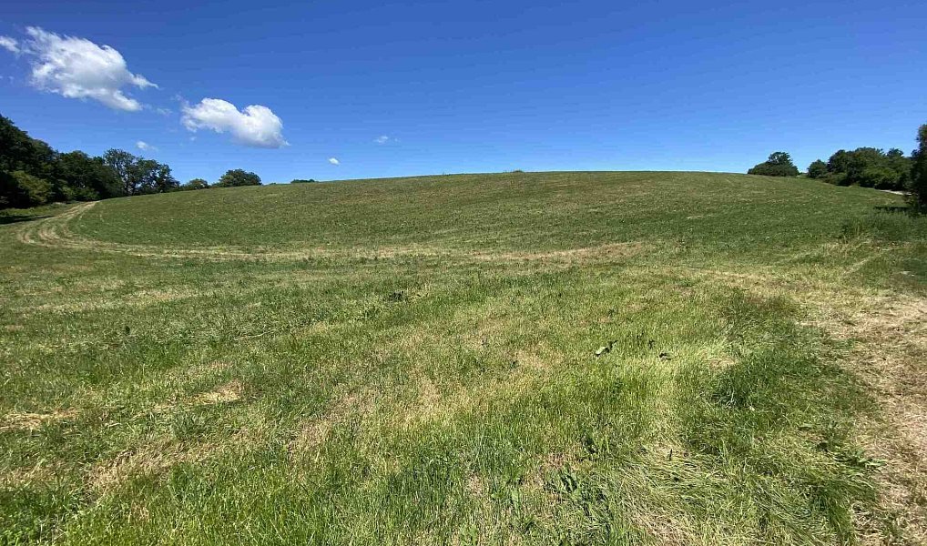 Prodej pole 41 229 m², Kájov – náhled fotky 3