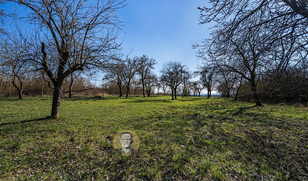Prodej stavebního pozemku 3 158 m², Střemy – náhled fotky 5