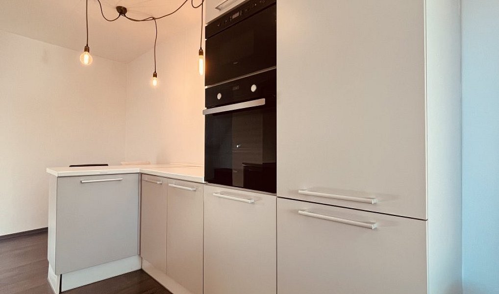 Pronájem bytu 2+1 54 m², Ostrava – náhled fotky 3