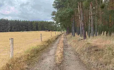 Dražba pozemku 1 744 m², Prostiboř