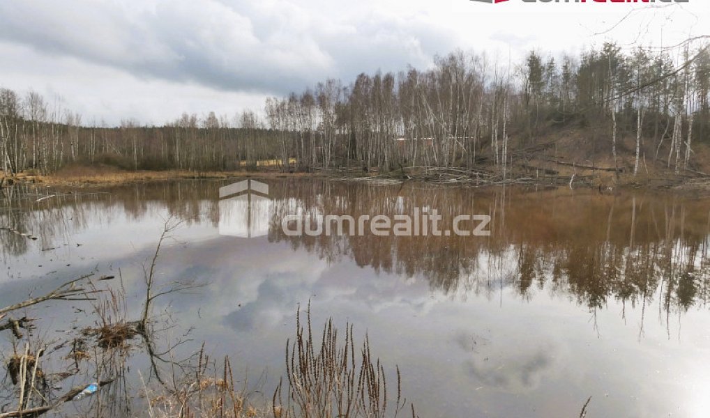 Prodej vodní plochy 3 974 m², Pomezí nad Ohří – náhled fotky 8